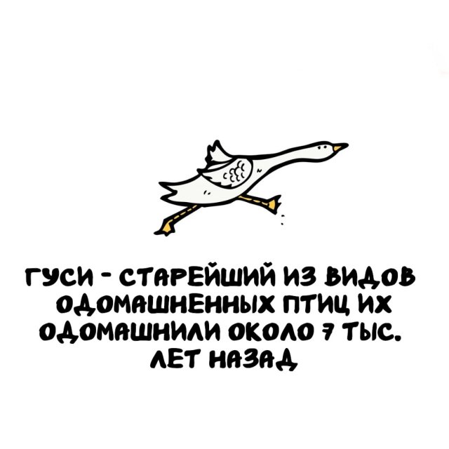 Интересные факты на все случаи жизни