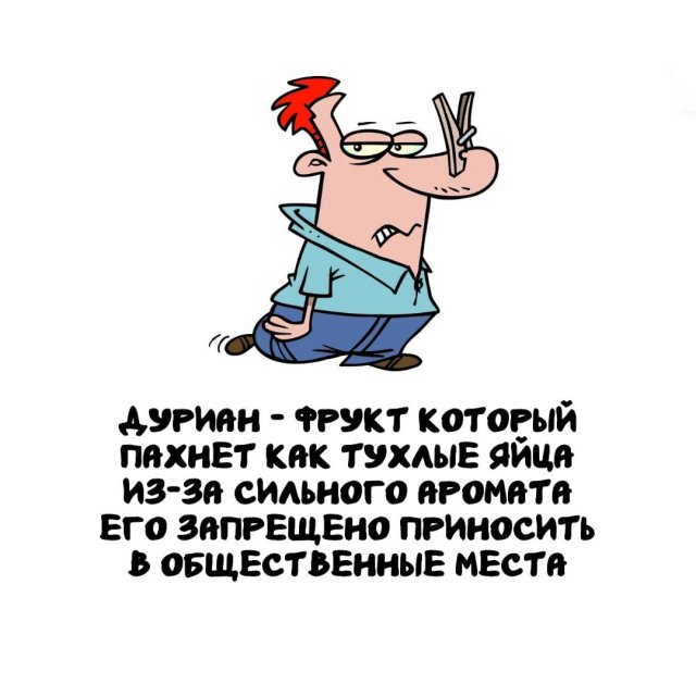 Интересные факты на все случаи жизни