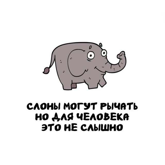 Интересные факты на все случаи жизни