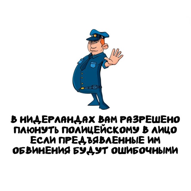 Интересные факты на все случаи жизни