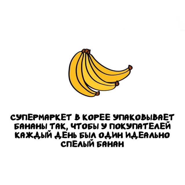Интересные факты на все случаи жизни