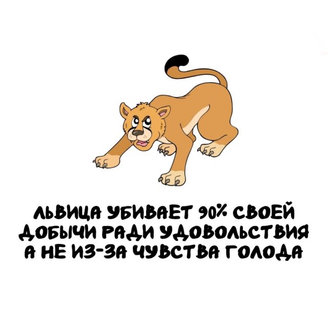 Интересные факты на все случаи жизни