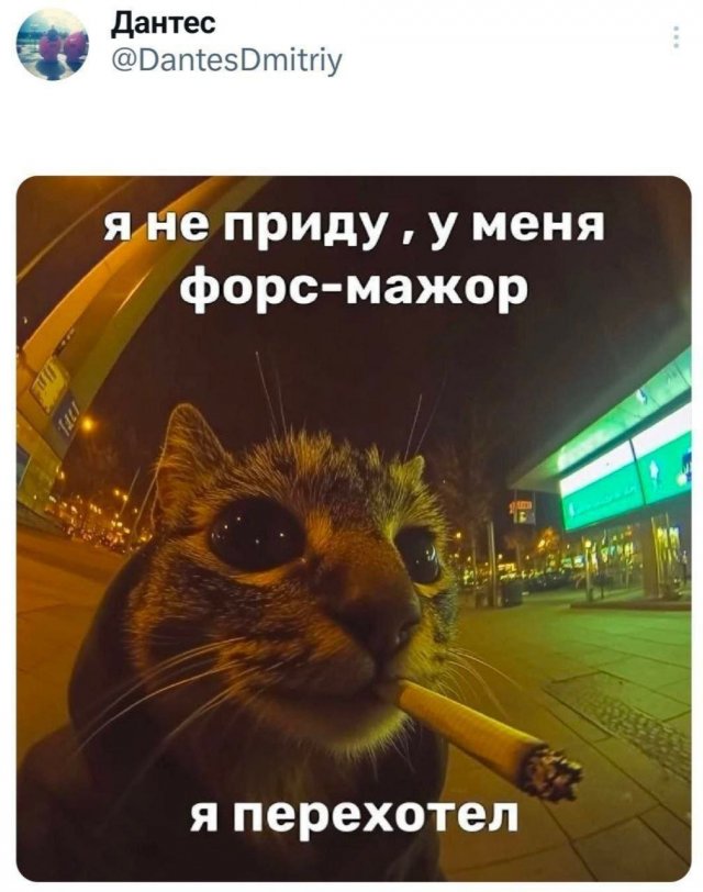 Подборка забавных твитов обо всем