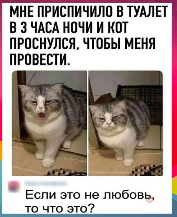 Смешные мемы - 27.08.2025