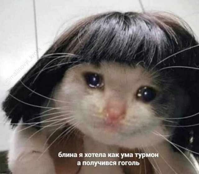 Смешные мемы - 27.08.2025