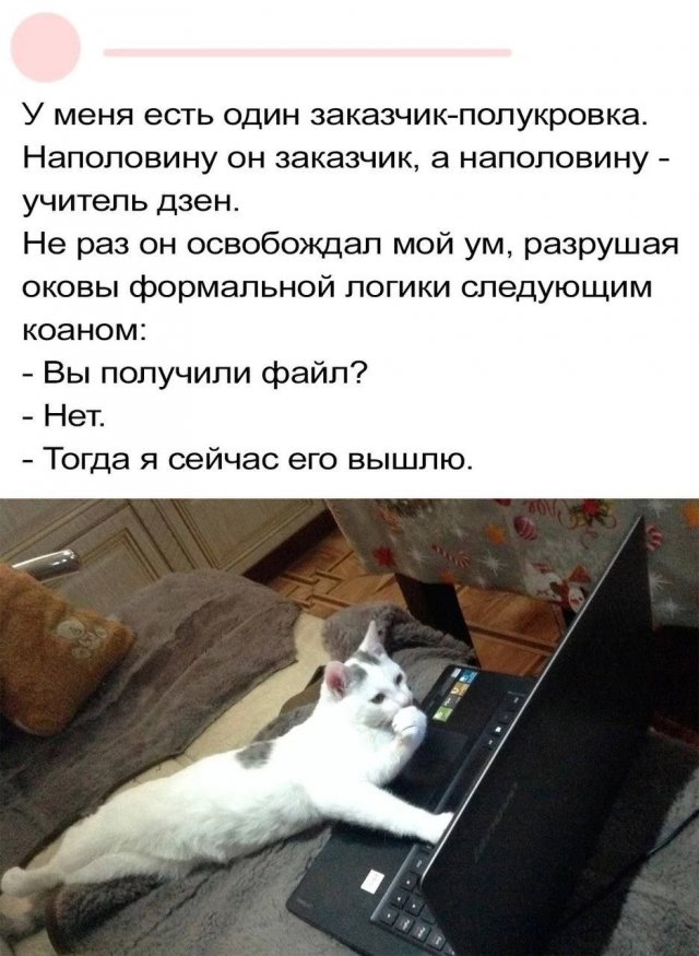 Смешные мемы - 27.08.2025