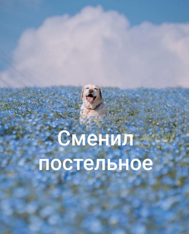 Лучшие шутки и мемы из Сети - 27.08.2025