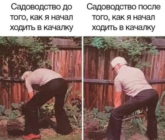 Лучшие шутки и мемы из Сети - 27.08.2025