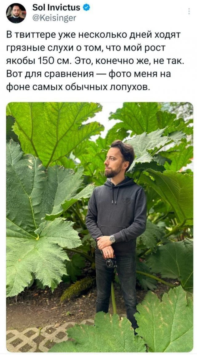 Подборка забавных твитов обо всем