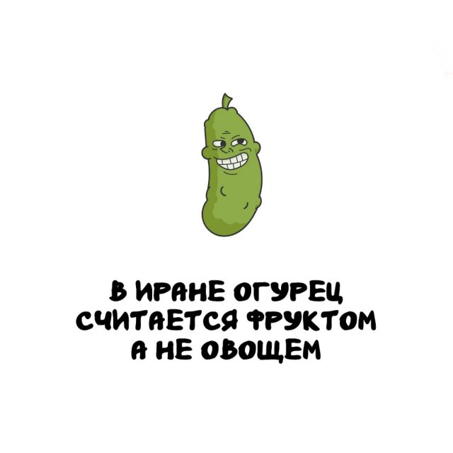 Интересные факты на все случаи жизни
