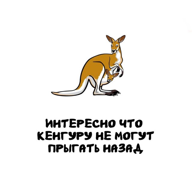 Интересные факты на все случаи жизни