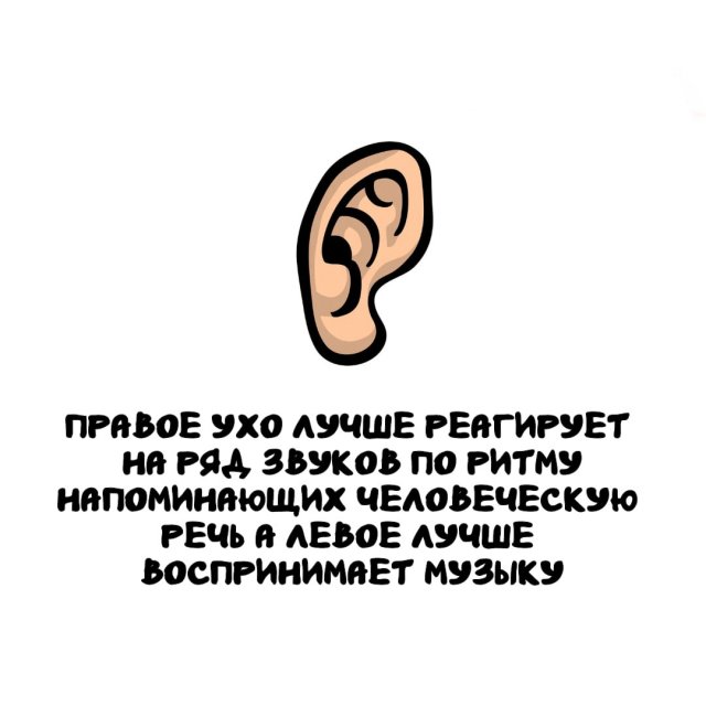 Интересные факты на все случаи жизни