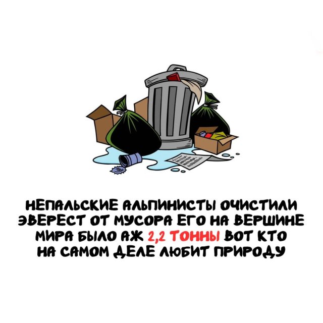 Интересные факты на все случаи жизни