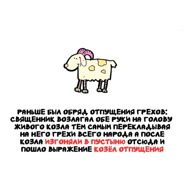 Интересные факты на все случаи жизни