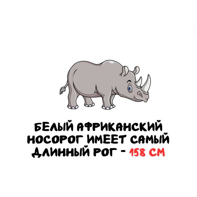 Интересные факты на все случаи жизни