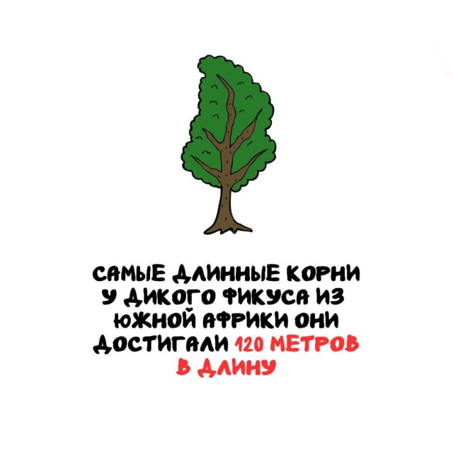 Интересные факты на все случаи жизни