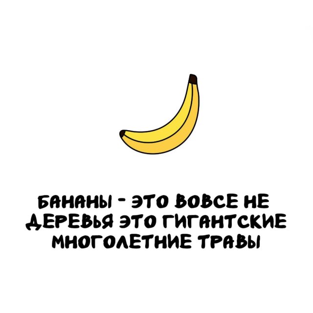 Интересные факты на все случаи жизни