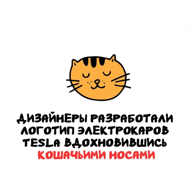 Интересные факты на все случаи жизни