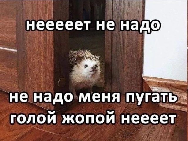 Лучшие шутки и мемы из Сети - 28.08.2025