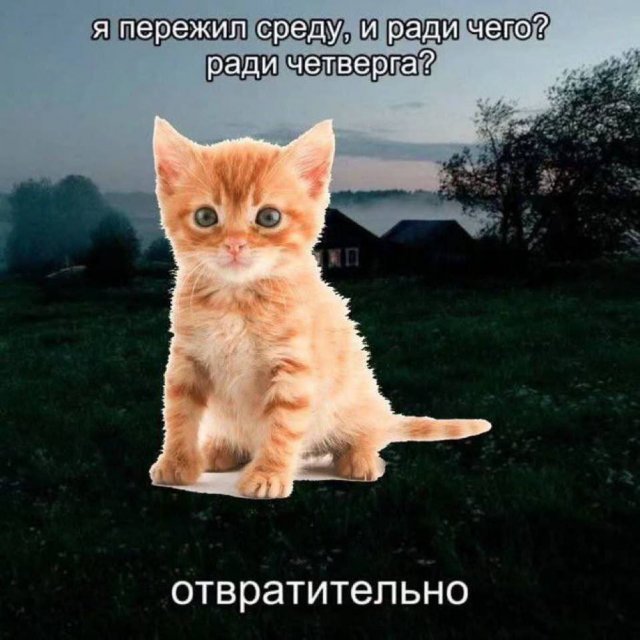 Лучшие шутки и мемы из Сети - 28.08.2025