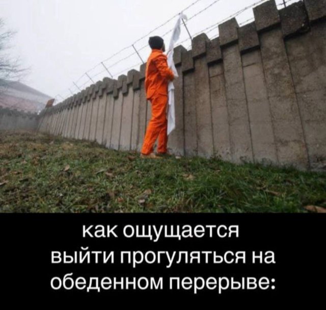 Лучшие шутки и мемы из Сети - 28.08.2025