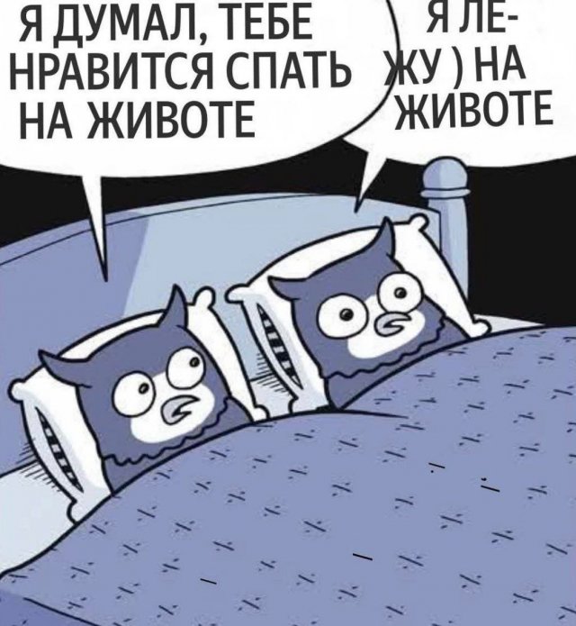 Лучшие шутки и мемы из Сети - 28.08.2025