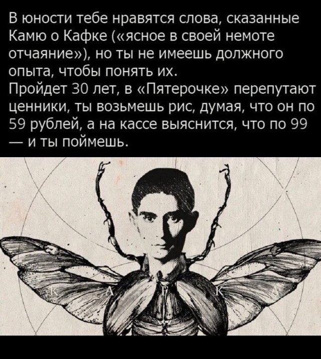 Лучшие шутки и мемы из Сети - 28.08.2025