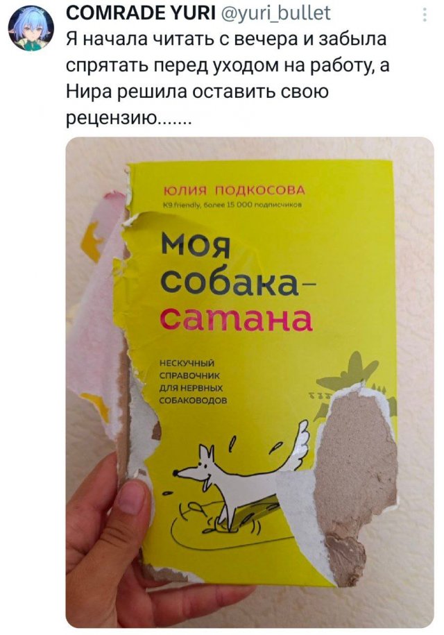 Подборка забавных твитов обо всем