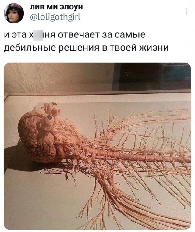 Подборка забавных твитов обо всем