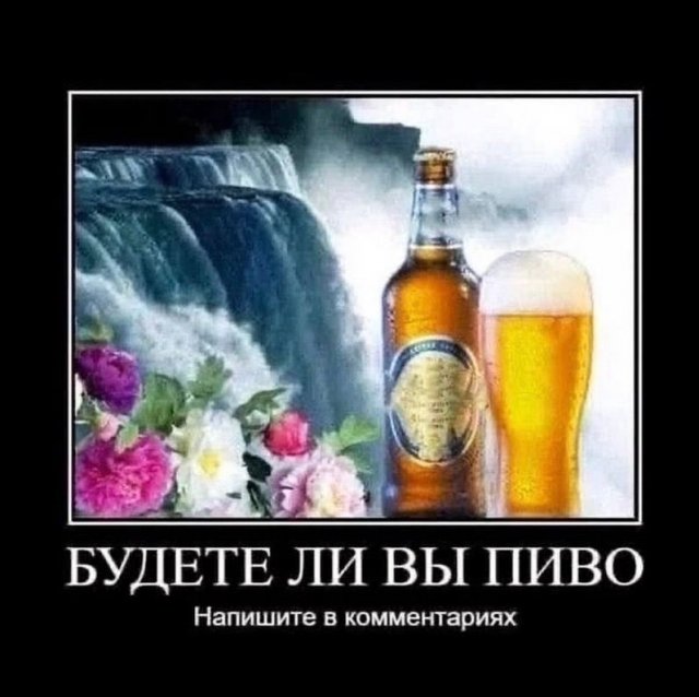 Демотиваторы - 29.08.2025