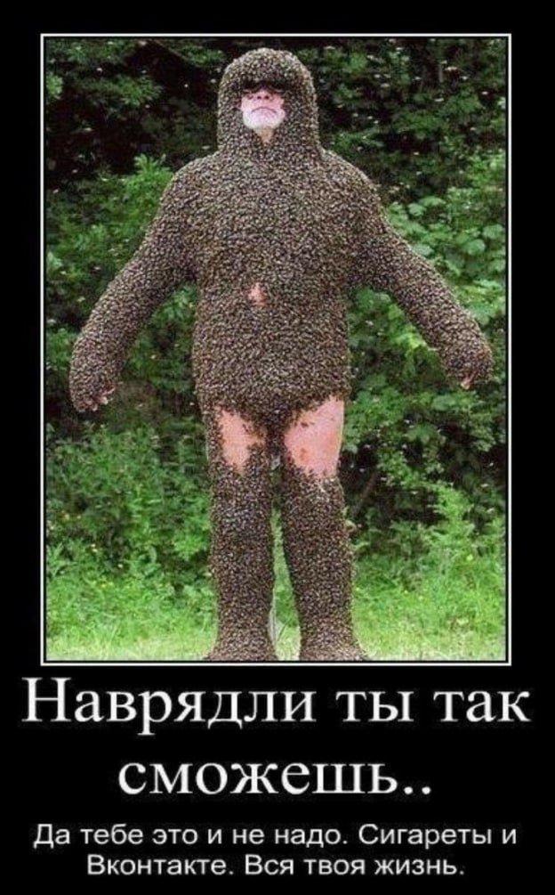 Демотиваторы - 29.08.2025