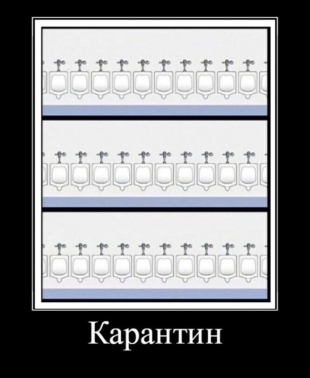 Демотиваторы - 29.08.2025