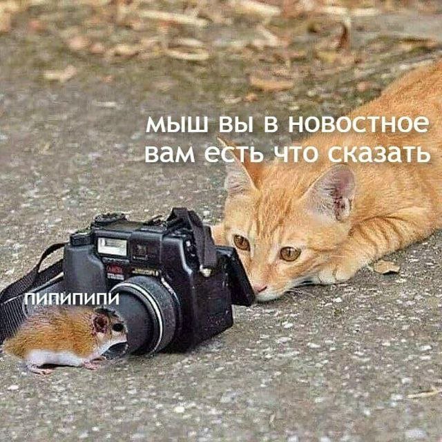Лучшие шутки и мемы из Сети - 29.08.2025