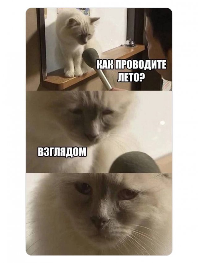 Лучшие шутки и мемы из Сети - 29.08.2025