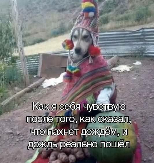 Лучшие шутки и мемы из Сети - 29.08.2025