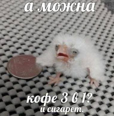Лучшие шутки и мемы из Сети - 29.08.2025