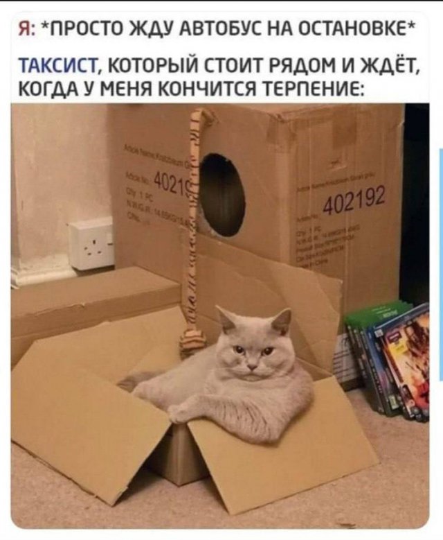 Смешные картинки - 01.09.2025