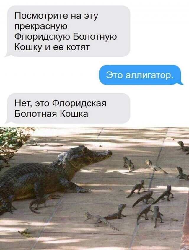Смешные картинки - 01.09.2025