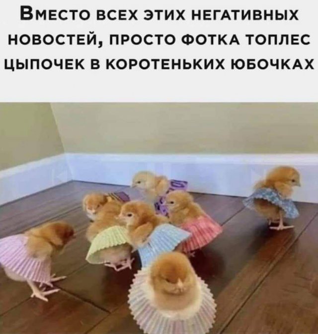 Смешные картинки - 01.09.2025