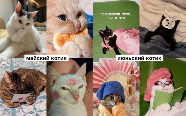 Какой вы кот по месяцу рождения