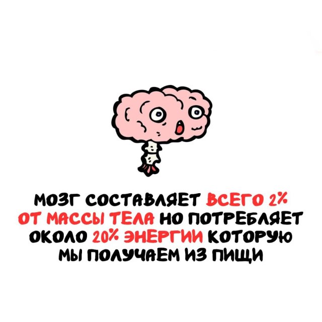 Интересные факты на все случаи жизни