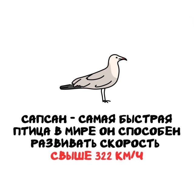 Интересные факты на все случаи жизни