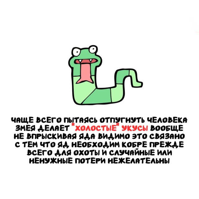 Интересные факты на все случаи жизни