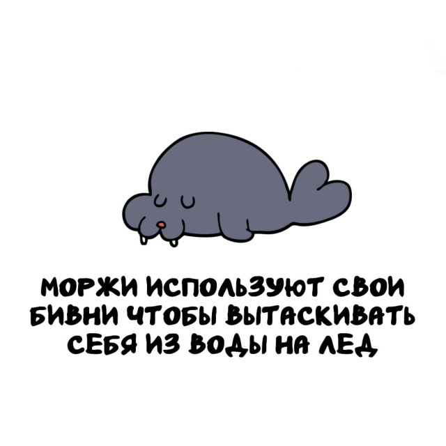 Интересные факты на все случаи жизни