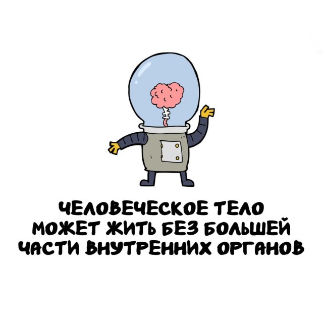 Интересные факты на все случаи жизни