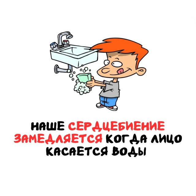 Интересные факты на все случаи жизни