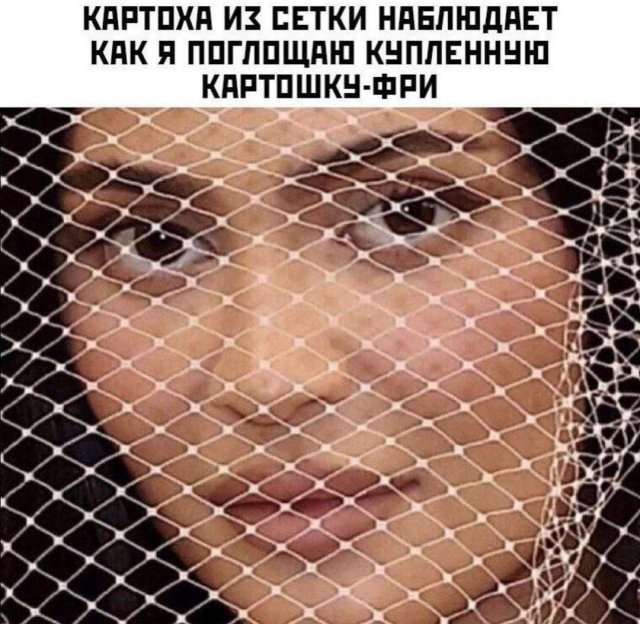Лучшие шутки и мемы из Сети - 01.09.2025