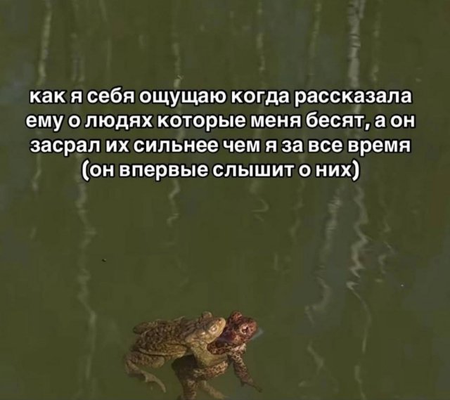 Лучшие шутки и мемы из Сети - 01.09.2025