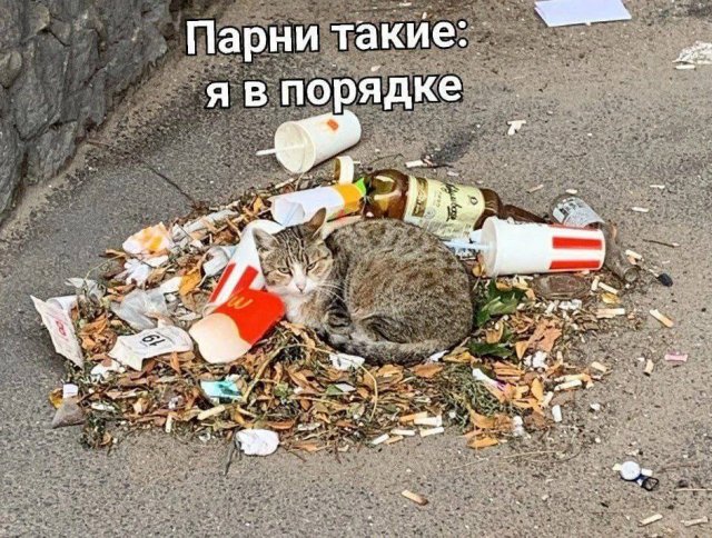 Лучшие шутки и мемы из Сети - 01.09.2025