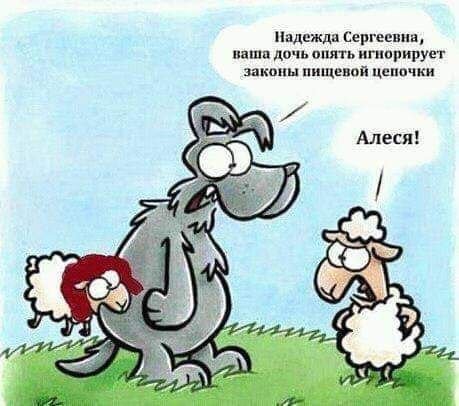 Лучшие шутки и мемы из Сети - 02.09.2025